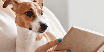 hond die een boek lijkt te lezen